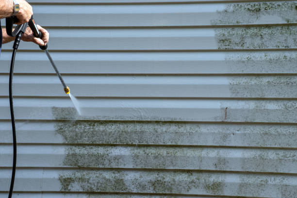 Professional Siding Installation & Repair in Claiborne, LA