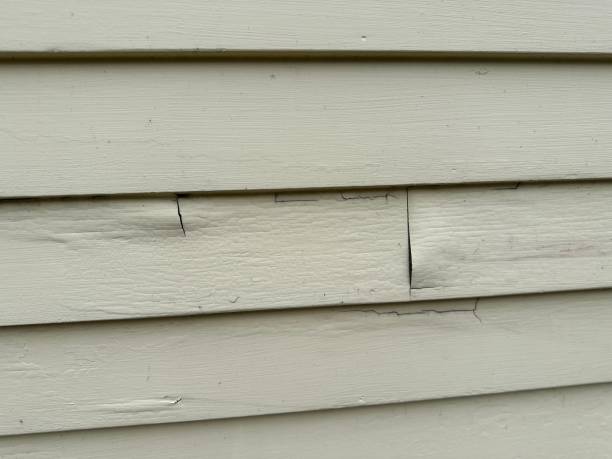 Best Storm Damage Siding Repair  in Ciborne, LA